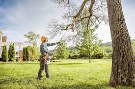 Best Storm Damage Tree Cleanup  in Beach City, TX